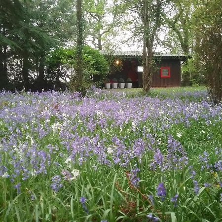 Caban Cwtch Villa Cenarth Eksteriør bilde