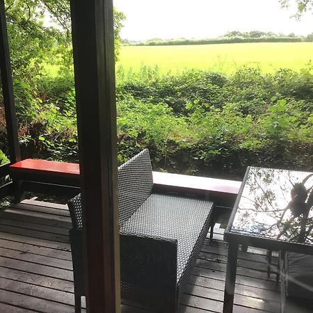 Caban Cwtch Villa Cenarth Eksteriør bilde