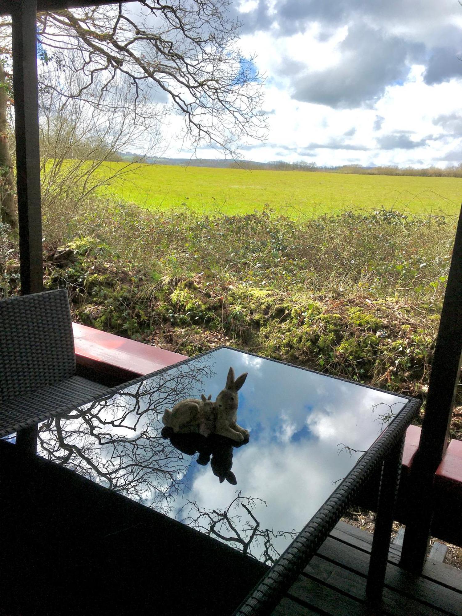 Caban Cwtch Villa Cenarth Eksteriør bilde